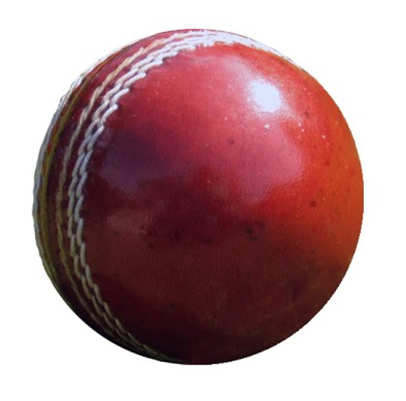 Picture of Engraved Cricket Ball