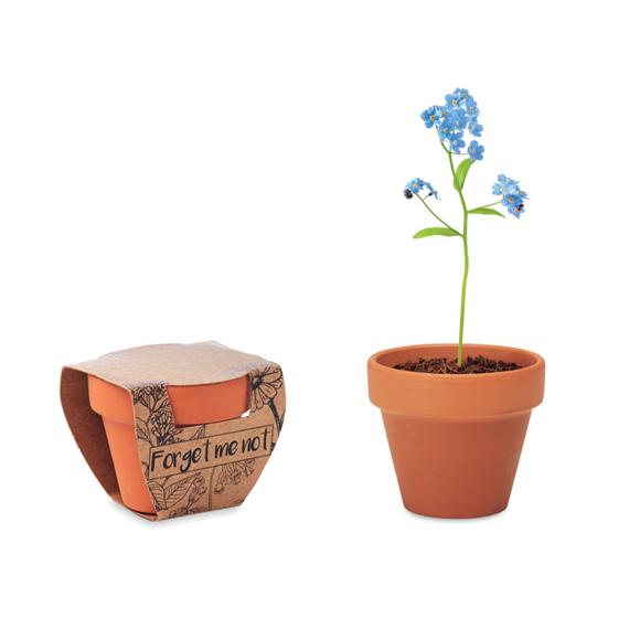 Plant Pot with Flower