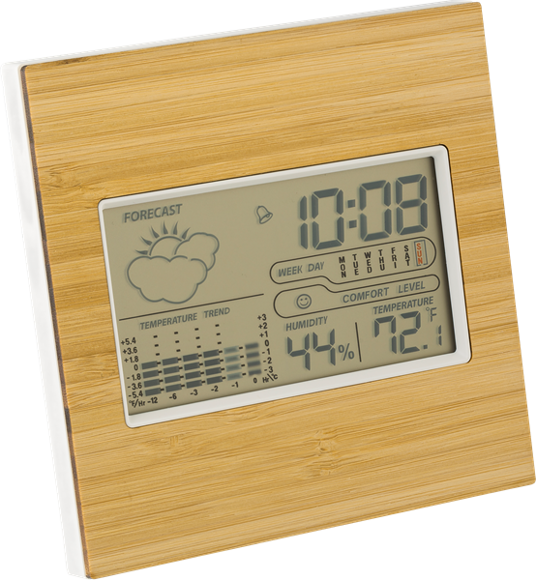 Bamboo Weather Station