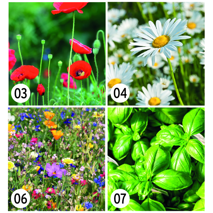 PAPER SEED COASTER | Promotional Products Home, Bourne International