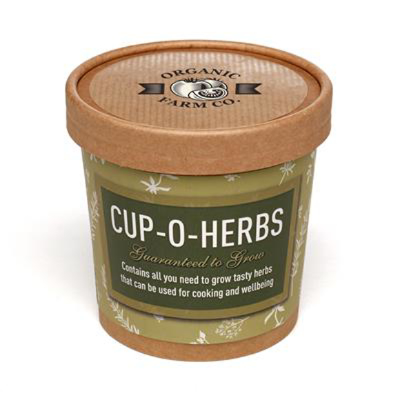 Picture of Cup of Herbs