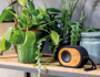 Picture of Bamboo X Speaker
