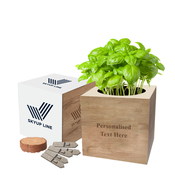 Picture of Desktop Cube Garden