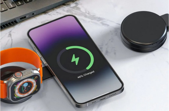 Noir Clam charger picture