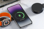 Noir Clam charger picture