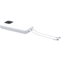 Picture of The Powercharge 10000