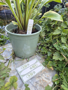 Picture of Walletmate Plant Markers