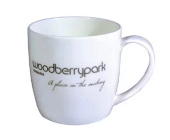 Picture of Boston Bone China Mug