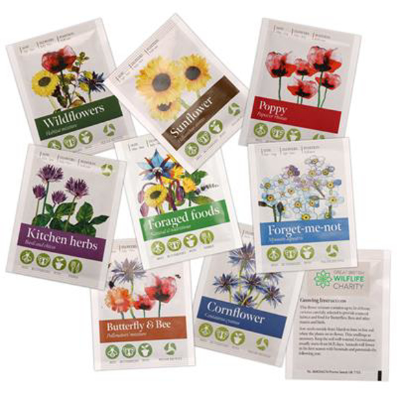 Picture of Standard Seed Packet