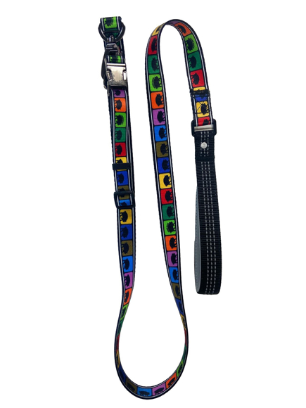 Picture of Branded Dog Lead