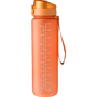 Picture of The Astro